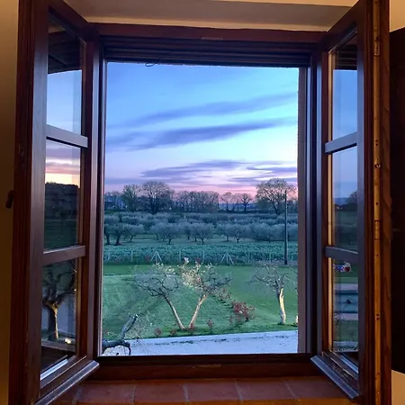 Apartment Opera Domus Asisium